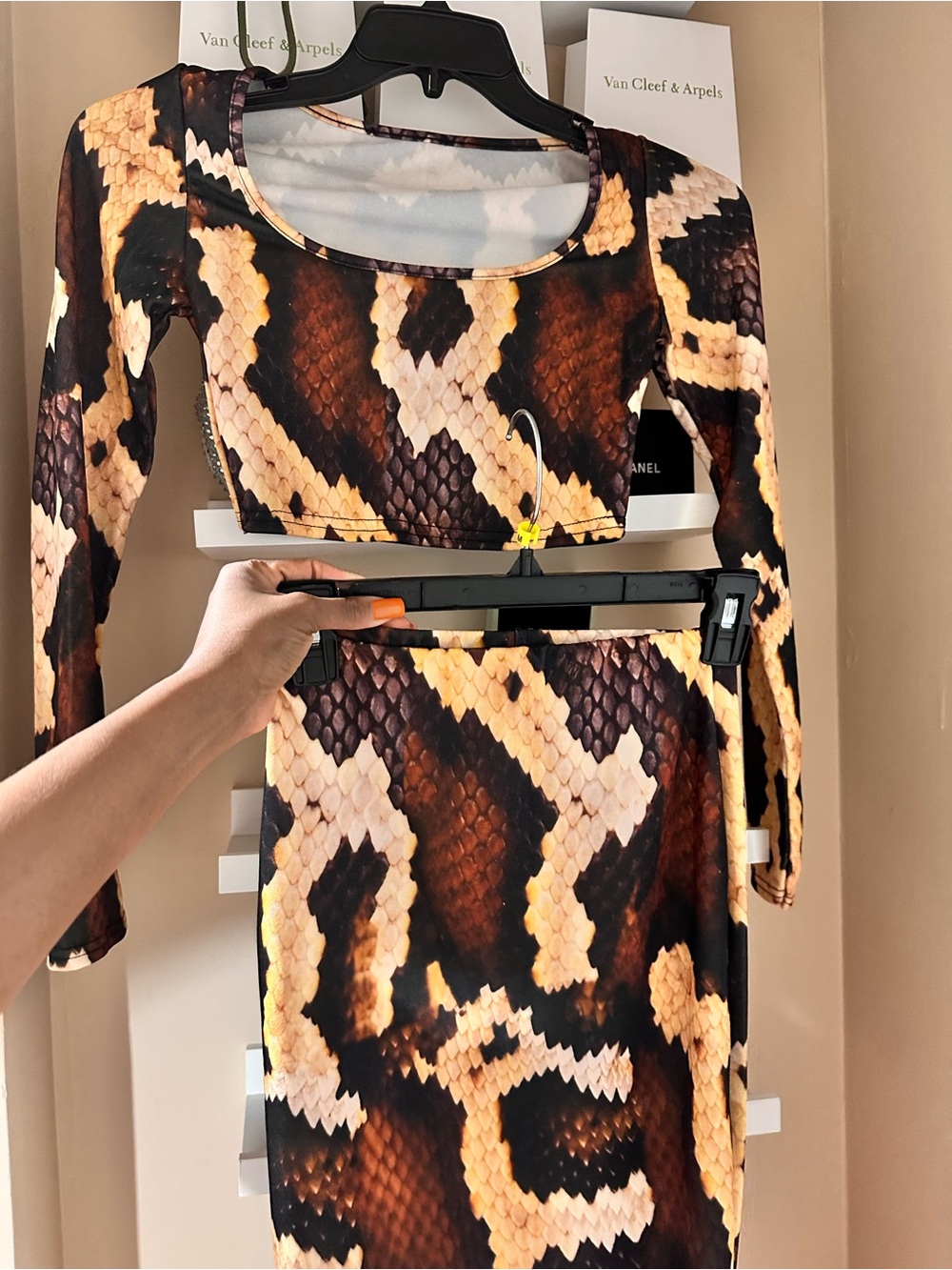 Snake Print Two-Piece Crop Top & Skirt Set